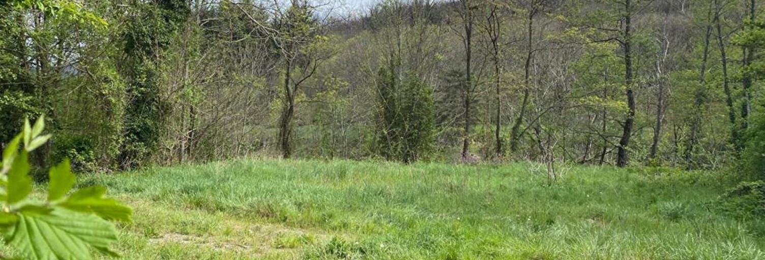 Terrain  2764 m² à vendre à Valgorge (07110)