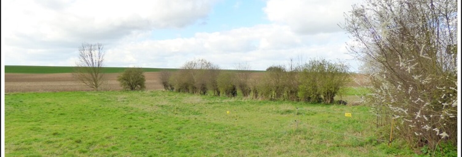 Terrain  1000 m² à vendre à Barly (62810)