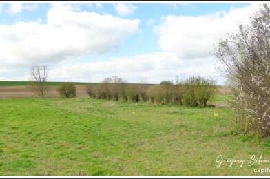Terrain  33500 €