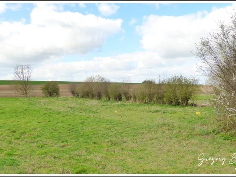 Terrain à Bâtir 1000 m2 — photo 1