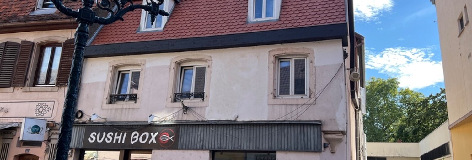 Immeuble  151 m² à vendre à Saverne (67700)