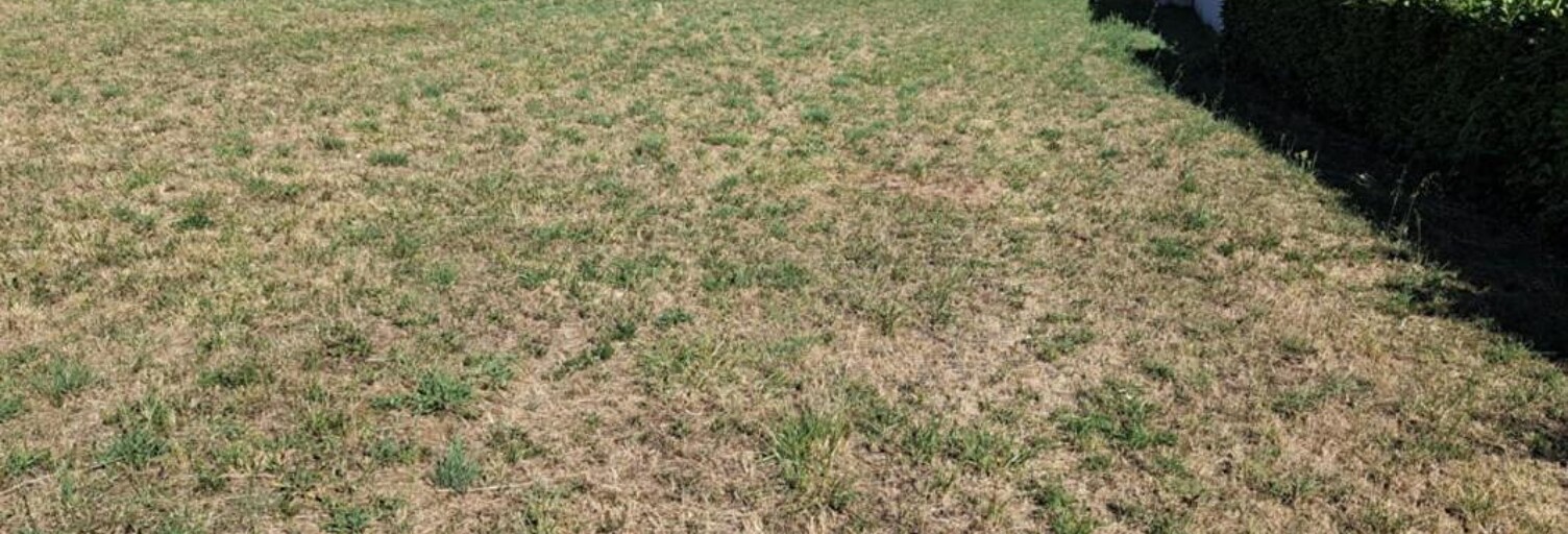 Terrain  1700 m² à vendre à Saint-Michel-le-Cloucq (85200)