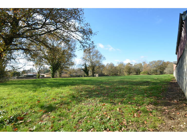 Terrain — photo 1