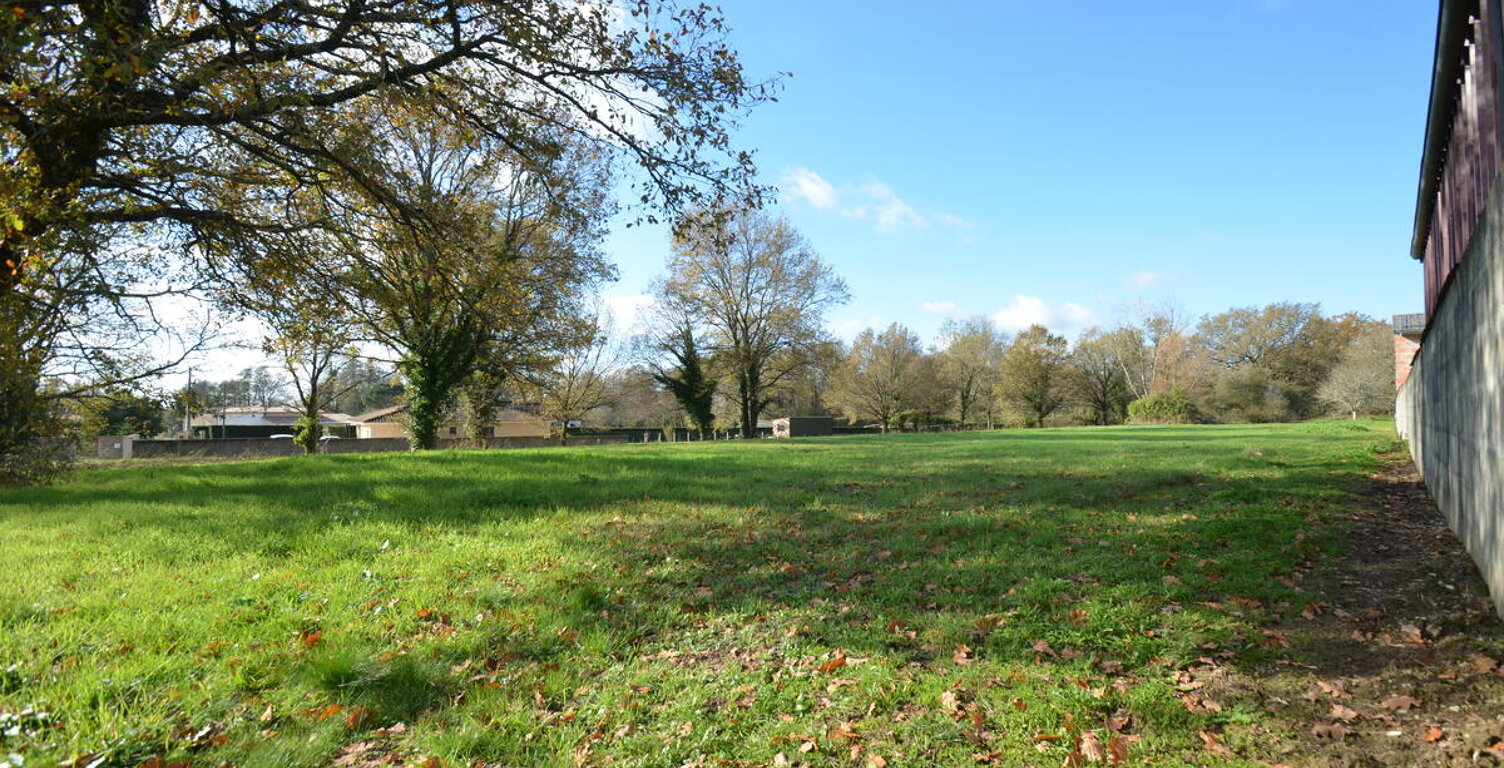 Terrain — photo 1