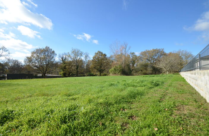 Terrain — photo 2