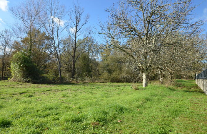 Terrain — photo 3