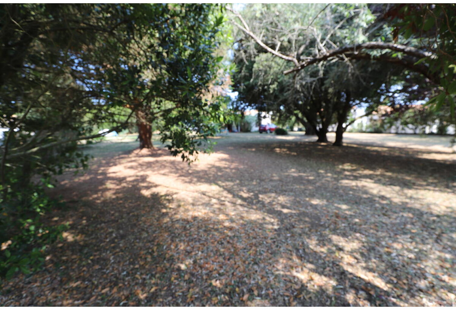 Terrain — photo 1