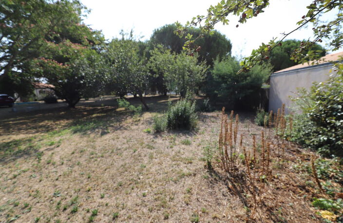 Terrain — photo 2