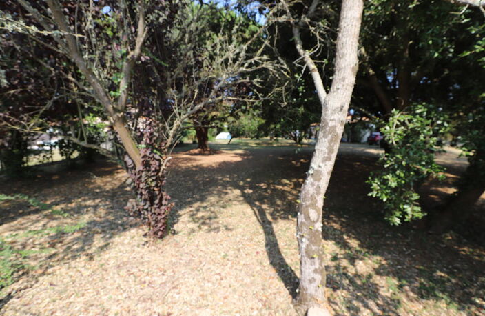Terrain — photo 3