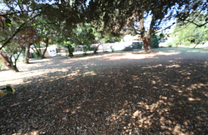 Terrain — photo 4