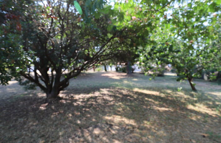 Terrain — photo 5