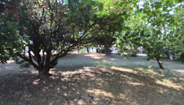 Terrain  à vendre Saint-Georges-d'Oléron 17190