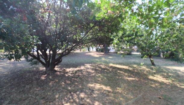 Terrain  à vendre Saint-Georges-d'Oléron 17190