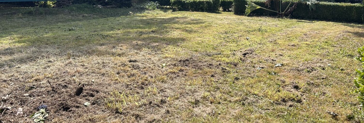 Terrain  980 m² à vendre à Perros-Guirec (22700)