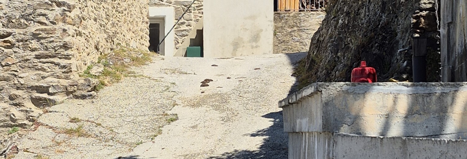 Photo N° 2
