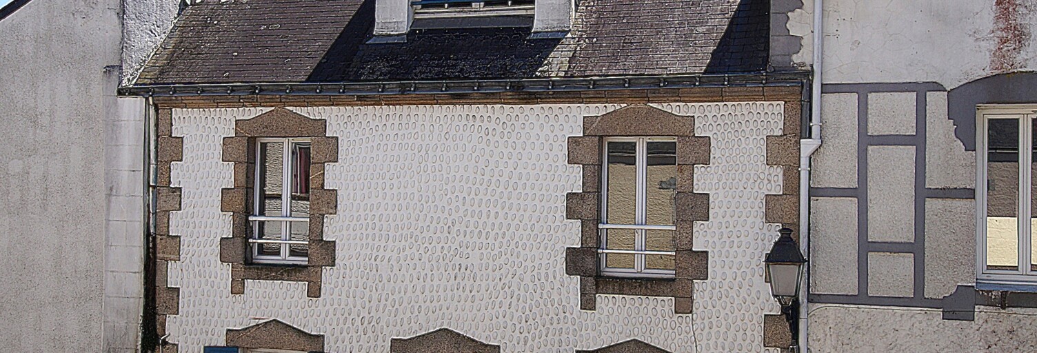 Immeuble  146 m² à vendre à Assérac (44410)