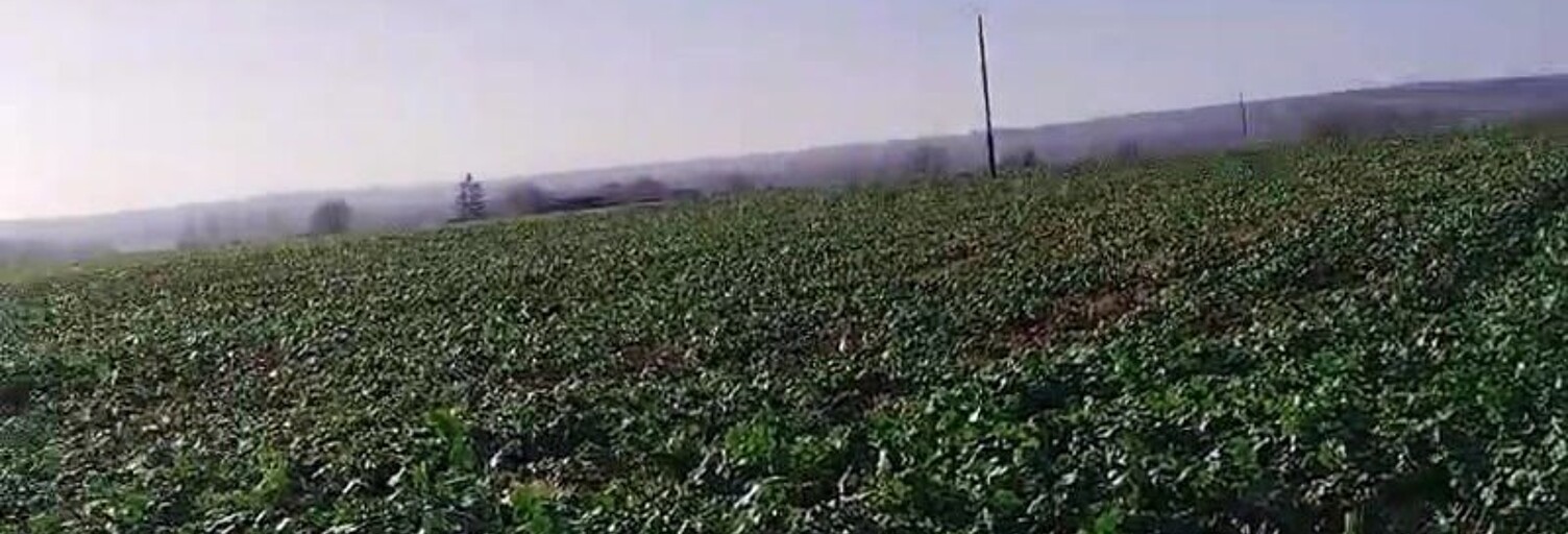 Photo N° 2