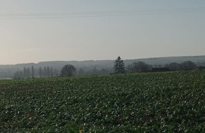 Vente terrain  3090 m² Trogues (37220) — photo 4