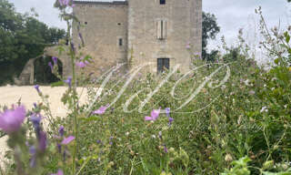 Maison 10 Pièces 338 m² à vendre à Asques (33240)