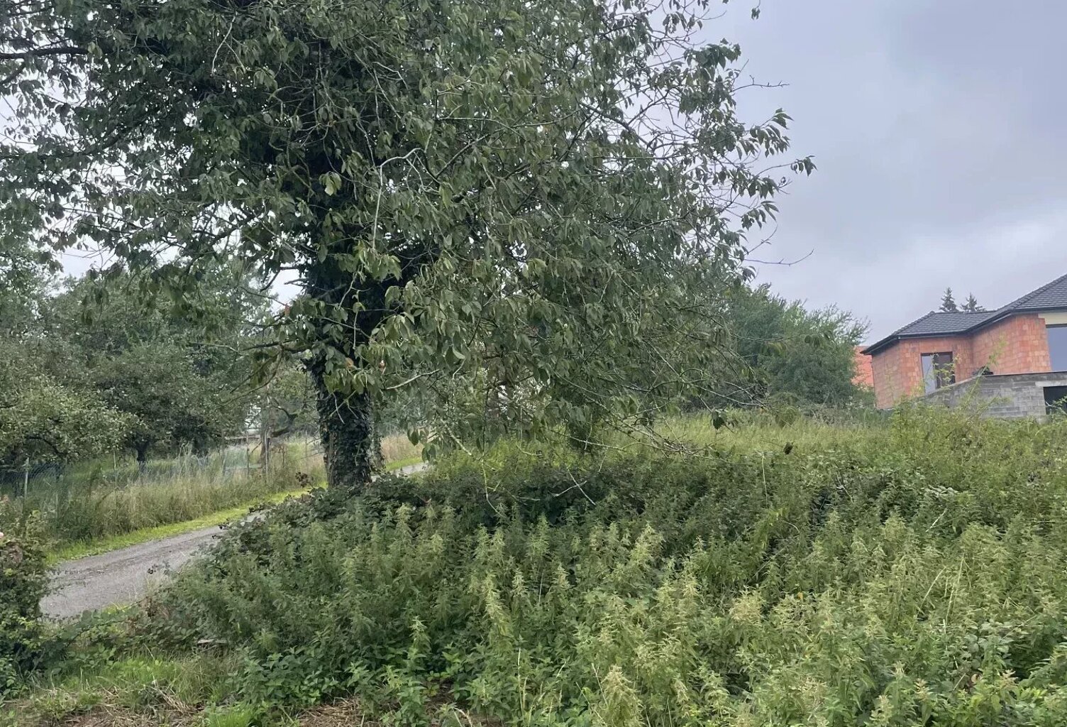 Terrain constructible d'une surface de 1105 m² à CADENBRONN — photo 1