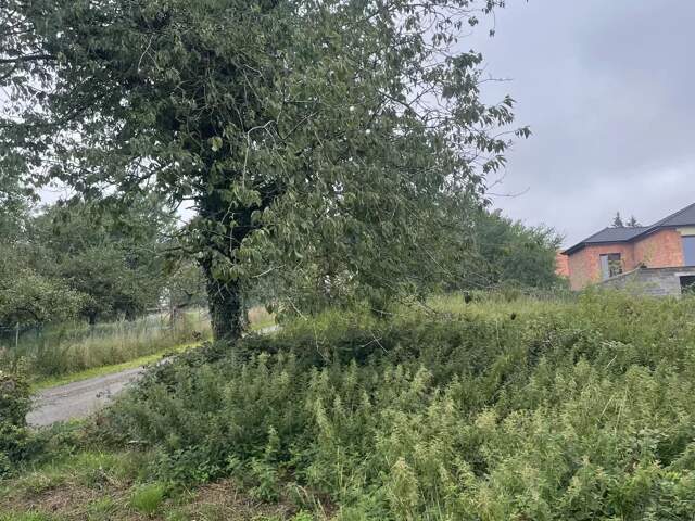 Terrain constructible d'une surface de 1105 m² à CADENBRONN — photo du bien