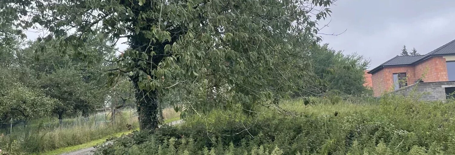 Terrain  1105 m² à vendre à Nousseviller-Saint-Nabor (57990)