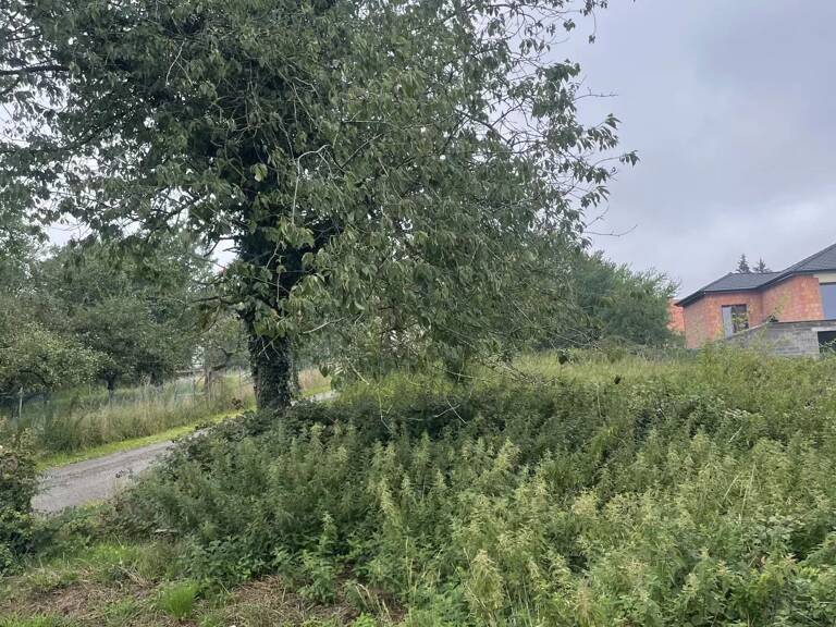 Terrain constructible d'une surface de 1105 m² à CADENBRONN — photo 1