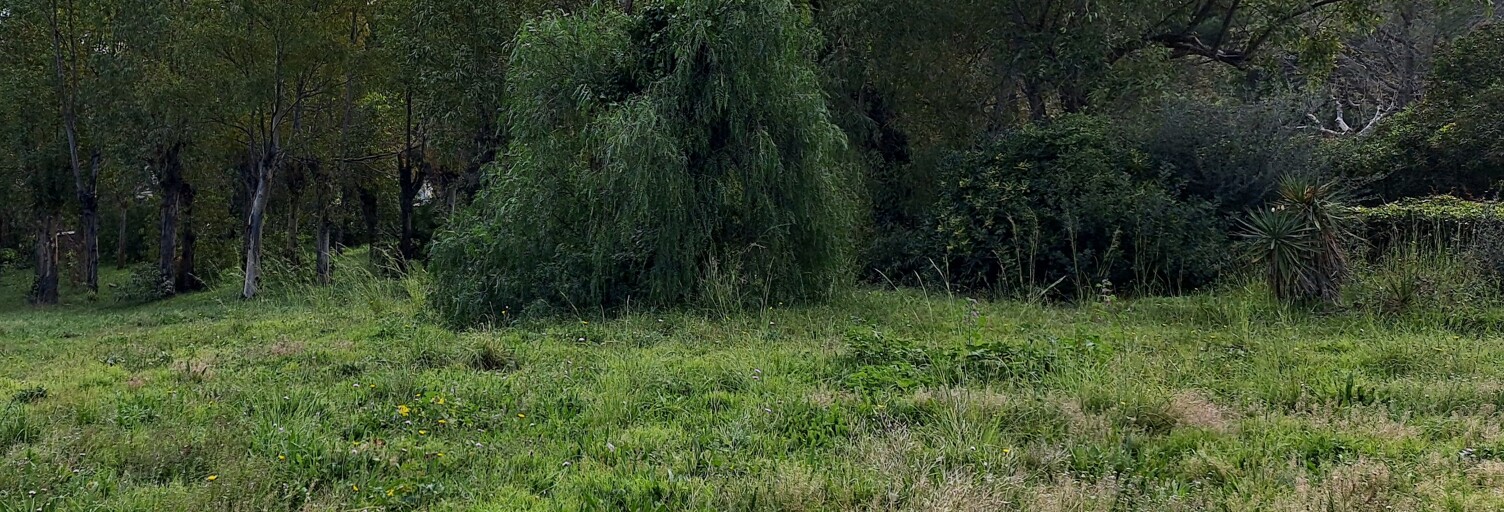 Terrain 416 m² à construire Fréjus (83600)