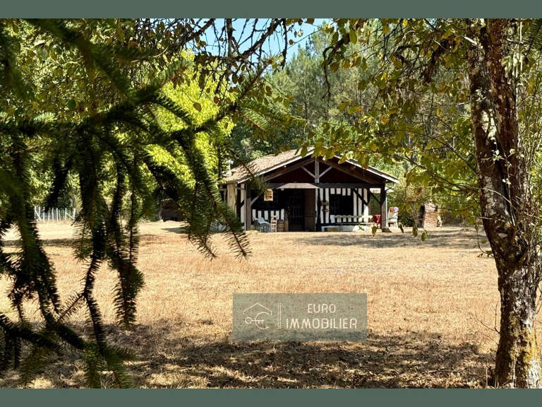 Airial - landaise - colombages - gite - dépendance bois - 1 — photo 1