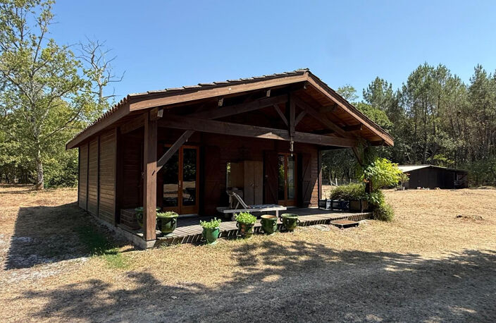 Airial - landaise - colombages - gite - dépendance bois - 1 — photo 3