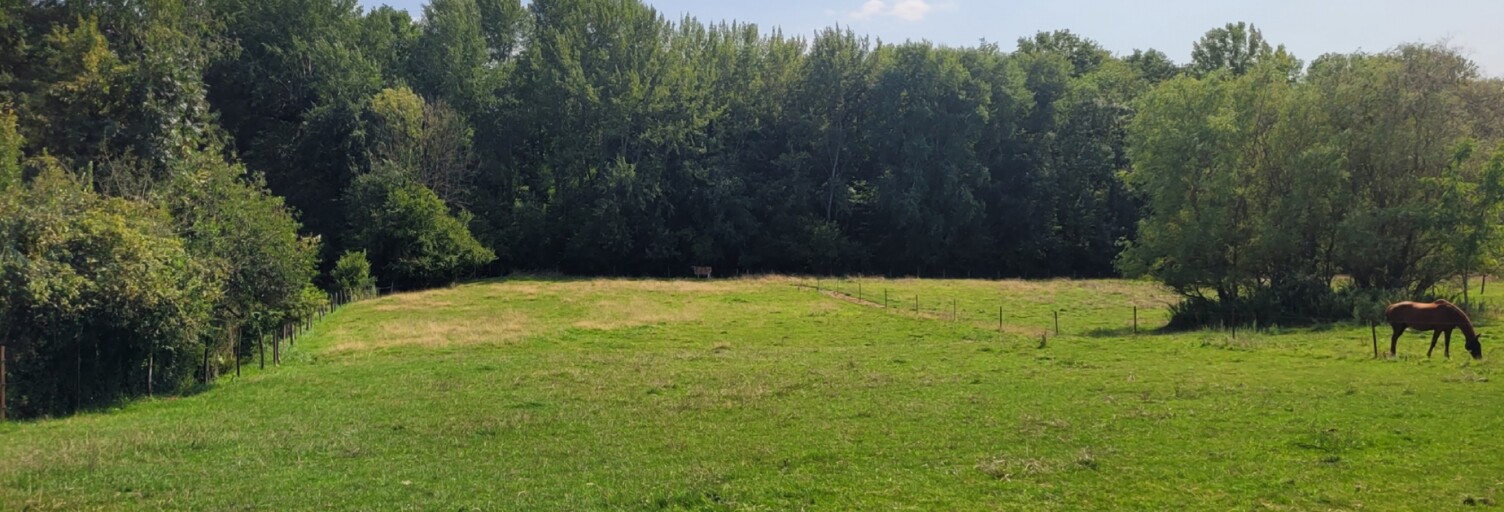 Terrain  3660 m² à vendre à Neuvy (51310)