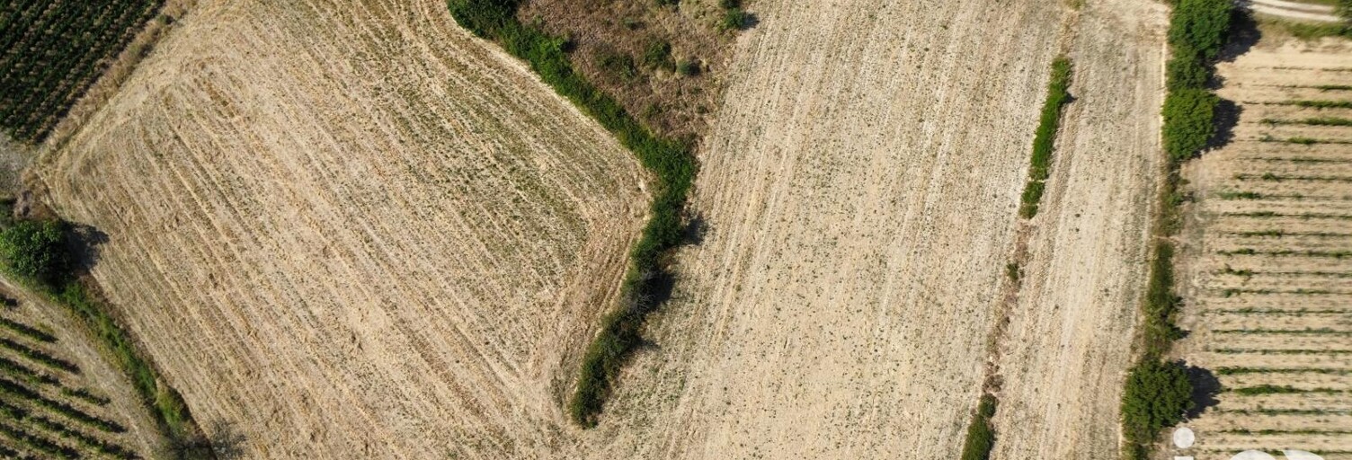 Terrain  10190 m² à vendre à Murviel-lès-Béziers (34490)