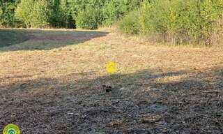 Maison 1 Pièce  m² à vendre à Néris-les-Bains (03310)