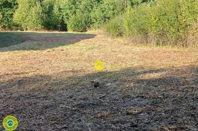 Maison 1 pièces 20000 €