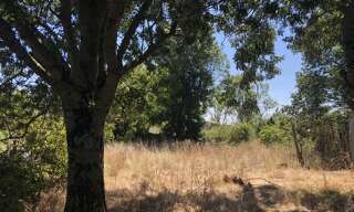 Terrain  6863 m² à vendre à Jau-Dignac-et-Loirac (33590)