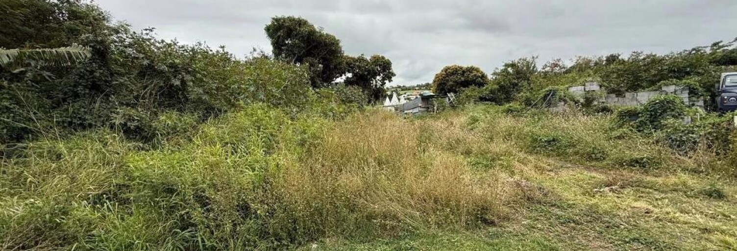 Terrain  1500 m² à vendre à Saint-Pierre (97410)