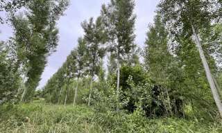 Terrain  81675 m² à vendre à Fismes (51170)