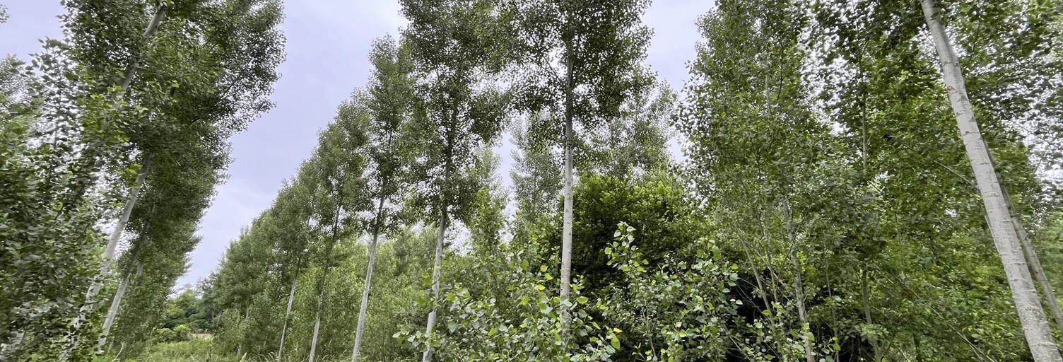 Terrain  81675 m² à vendre à Fismes (51170)