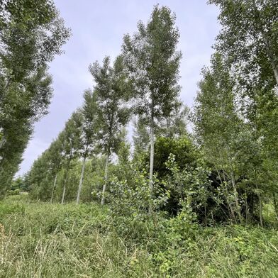 Terrain  295000 €