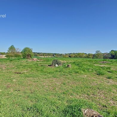 Terrain  29000 €