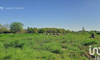 Terrain  874 m² à vendre à Allaire (56350)