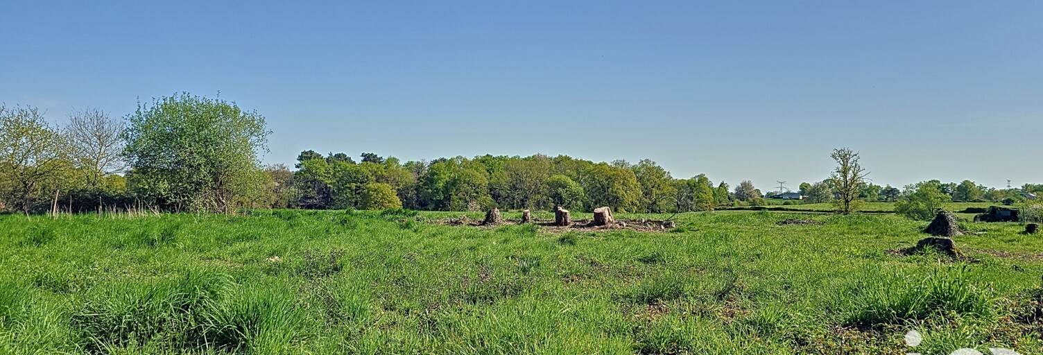Terrain  874 m² à vendre à Allaire (56350)