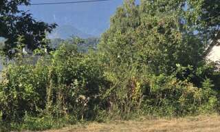 Terrain  9974 m² à vendre à Avezac-Prat-Lahitte (65130)