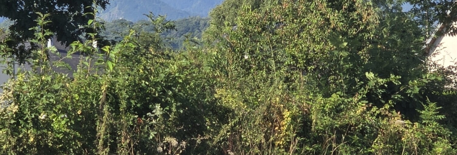 Terrain  9974 m² à vendre à Avezac-Prat-Lahitte (65130)