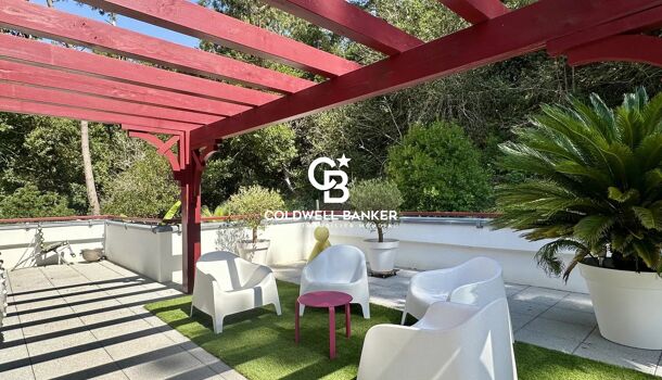 Appartement 3 pièces  à vendre Hossegor 40150