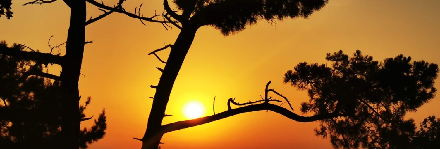 Maison 10 Pièces 246 m² à vendre à Argol (29560)