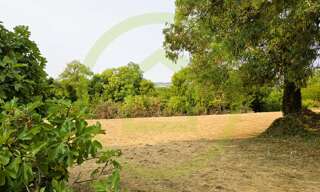 Terrain  1346 m² à vendre à Saint-Bonnet-sur-Gironde (17150)