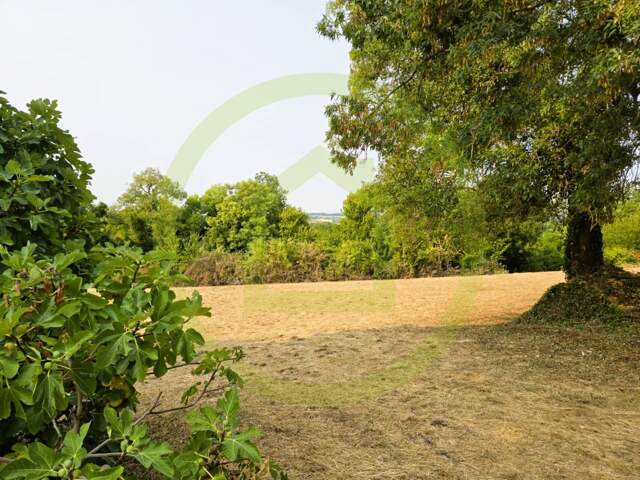 Terrain — photo du bien