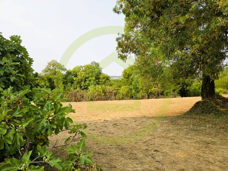 Terrain — photo 1