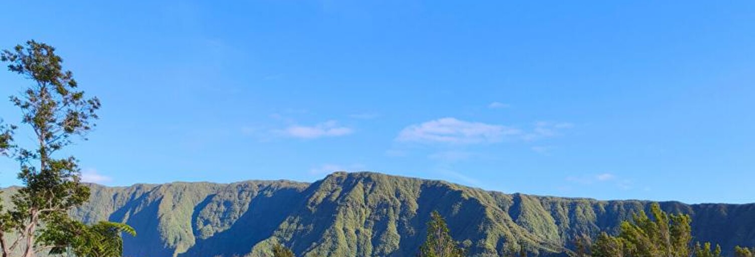 Maison 4 Pièces 65 m² à vendre à La Plaine-des-Palmistes (97431)